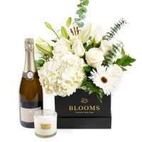 Read Toronto Blooms Reviews